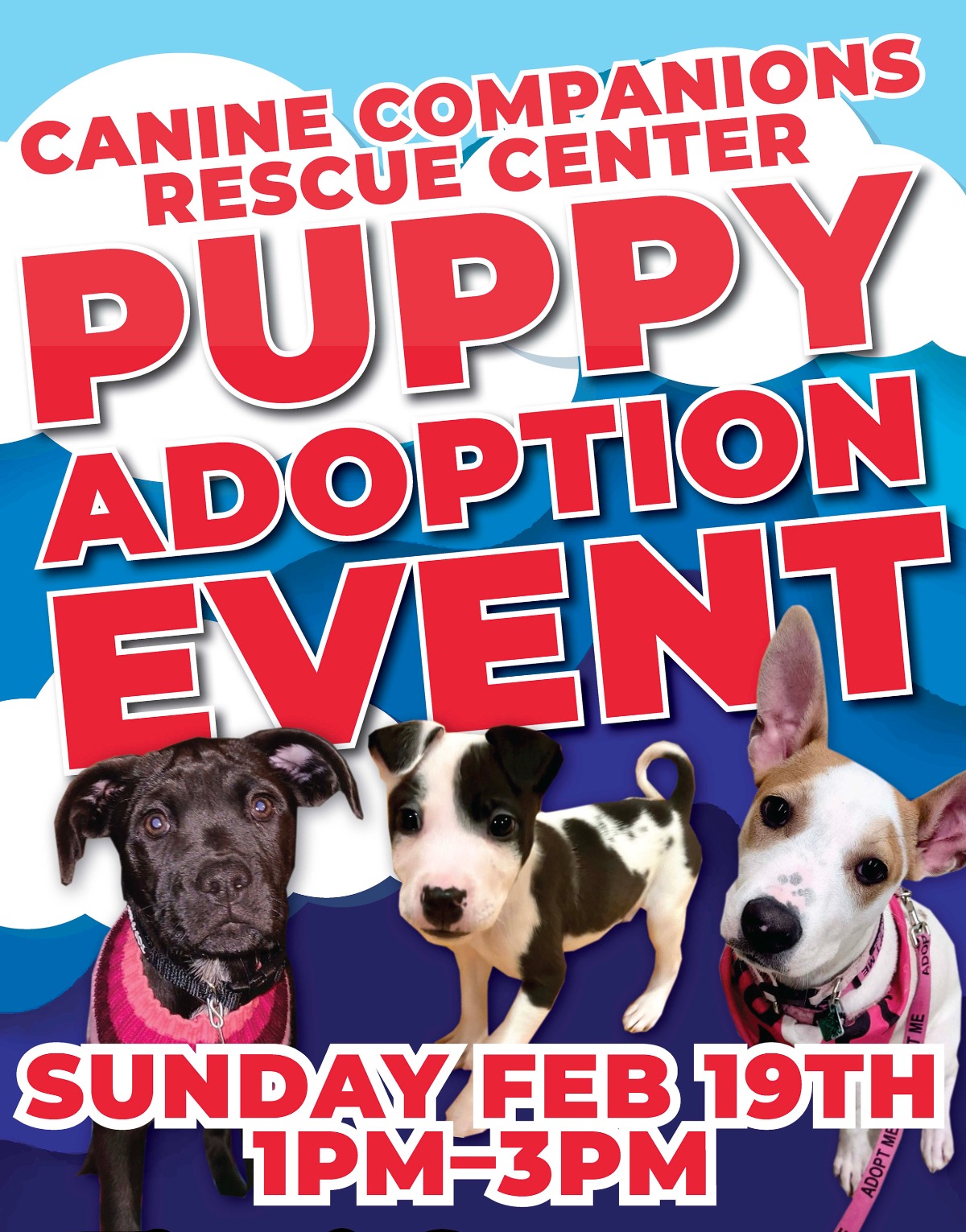 Canine Companions Rescue Center Puppy Adoption Event — Sunday Feb 19th 1pm–3pm